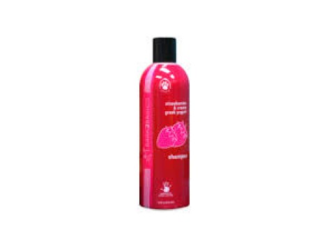 Bark 2 Basics Strawberry Greek Yogurt Shampoo 16 oz